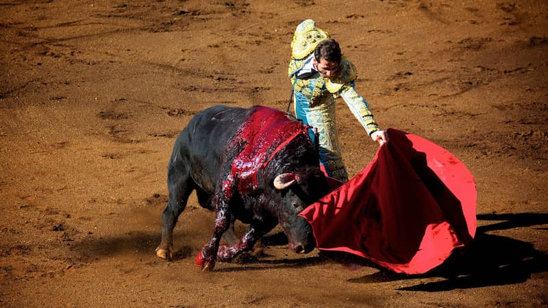 gijon-suspende-corridas-de-toros (1)