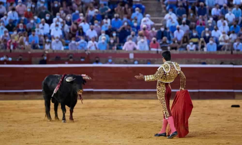 España: Gijón no volverá a tener corridas de toros