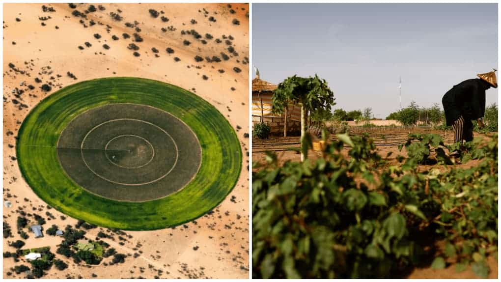 jardines circulares en el desierto del Sahara