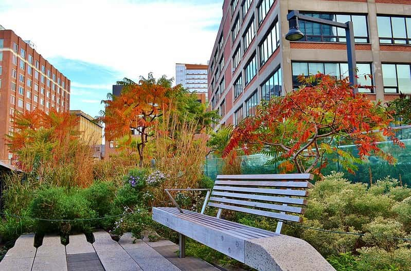 otoño-en-nueva-york