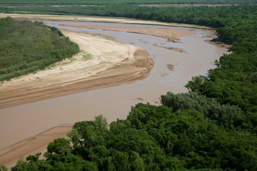 image plantar 1 millón de árboles plantarg Gran Chaco Americano