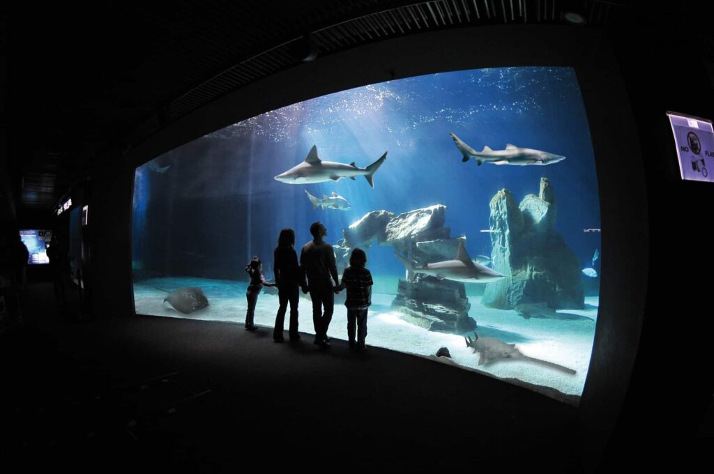 image región de Italia Acquario di Genova lugares para conocer en italia