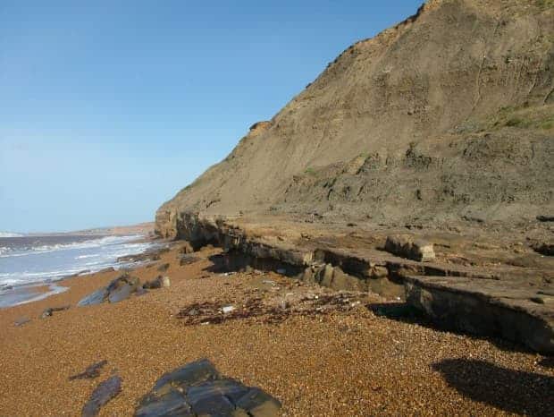 image nuevas especies de dinosaurios Brighstone Bay