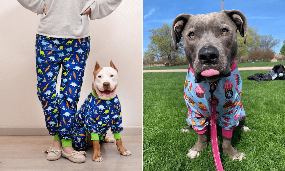 Esta mujer diseña coloridos pijamas para perros para erradicar el estigma contra los pitbulls-7