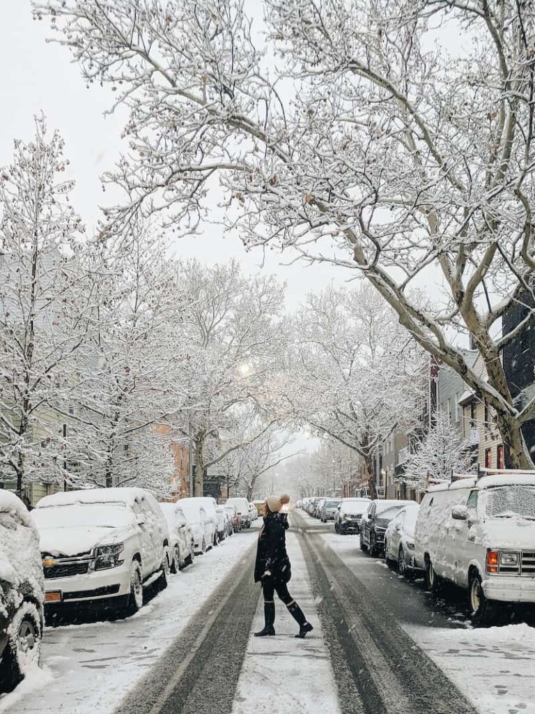 Nueva-York-en-Enero