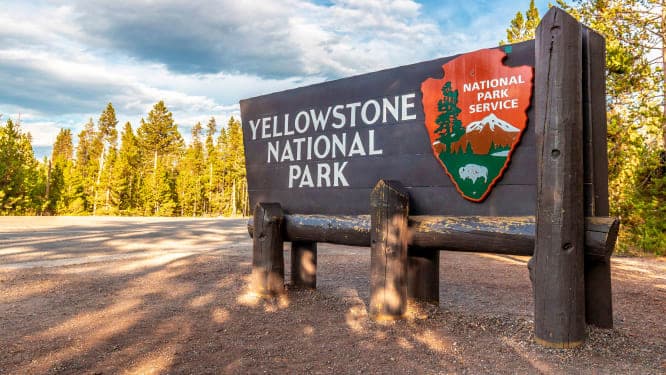 Parque nacional Yellowstone - Ataque de bisonte