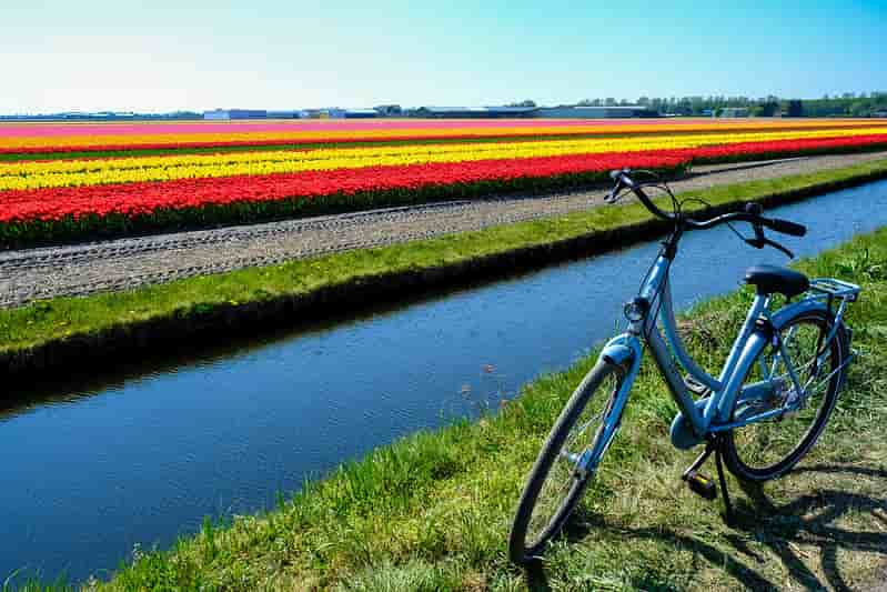 Recorrer-Ámsterdam-en-bicicleta