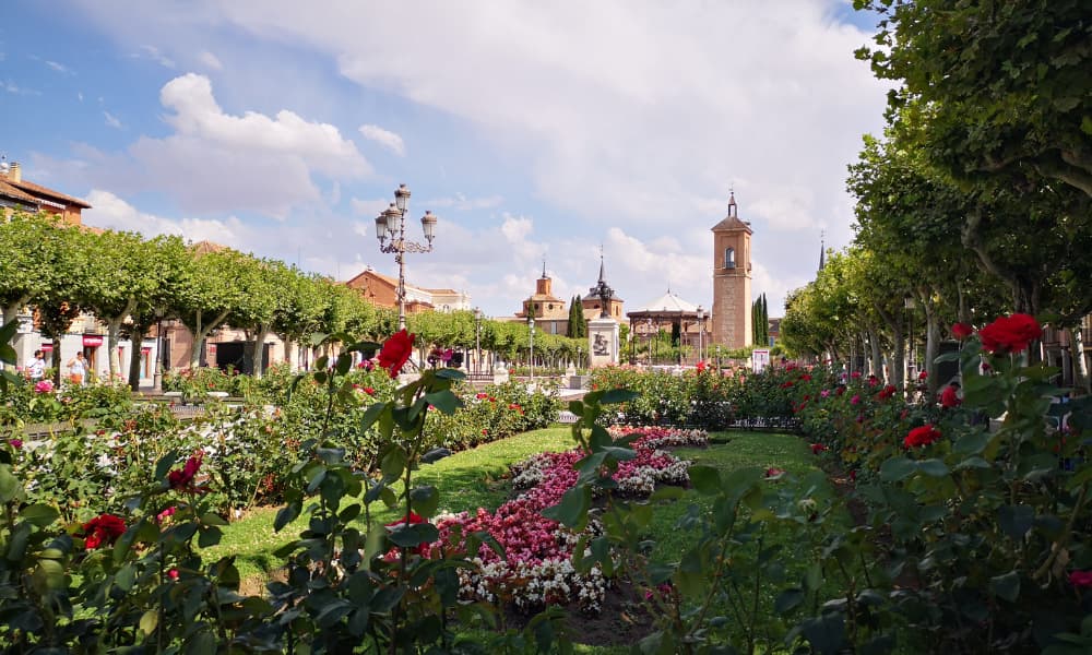 image Tren de Cervantes Tren de Cervantes La mejor forma de conocer Alcala de Henares la ciudad natal del emblematico autor 7