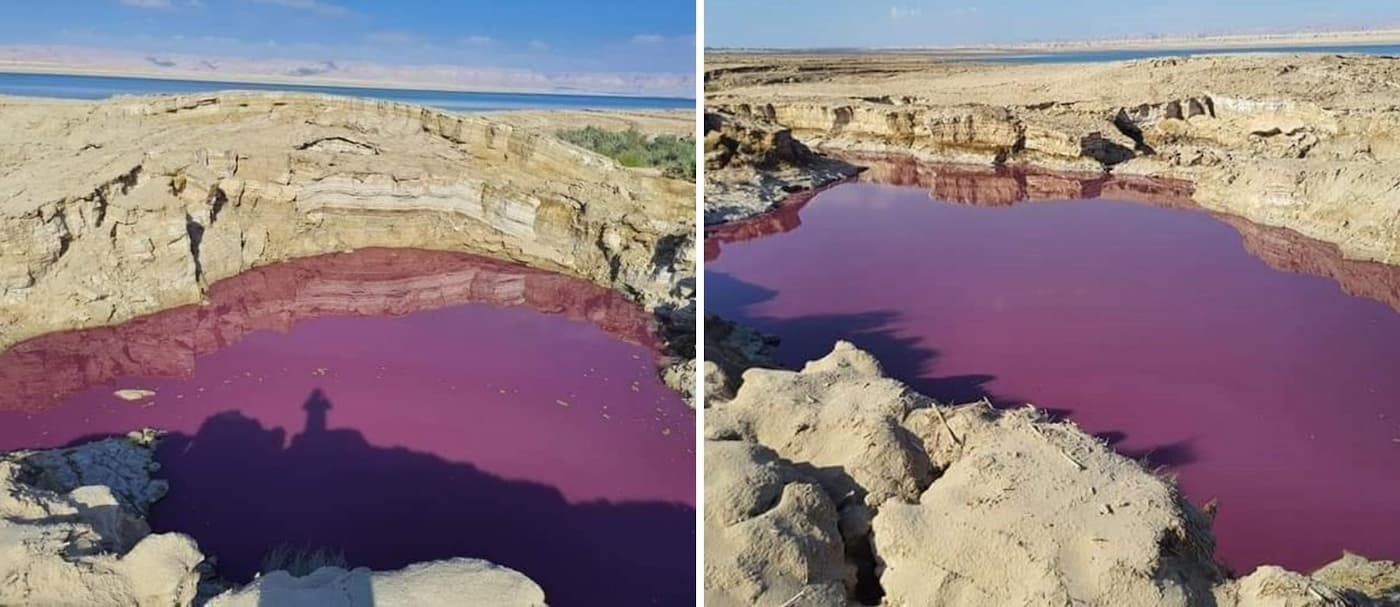 Un estanque cerca del Mar Muerto se tiñó de rojo y se desconocen los motivos