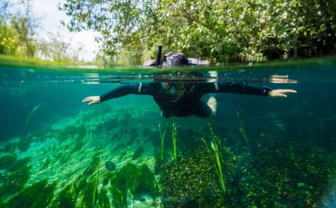 Snorkeling en Bonito