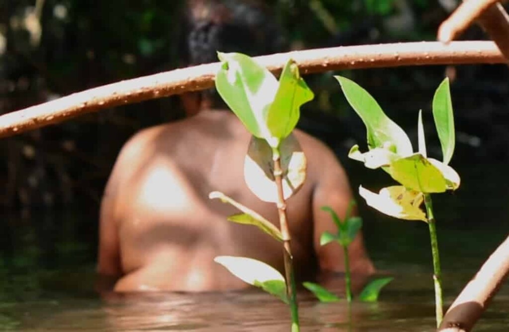 Los hombres no pueden ingresar en el bosque sagrado de mujeres desnudas en Papúa