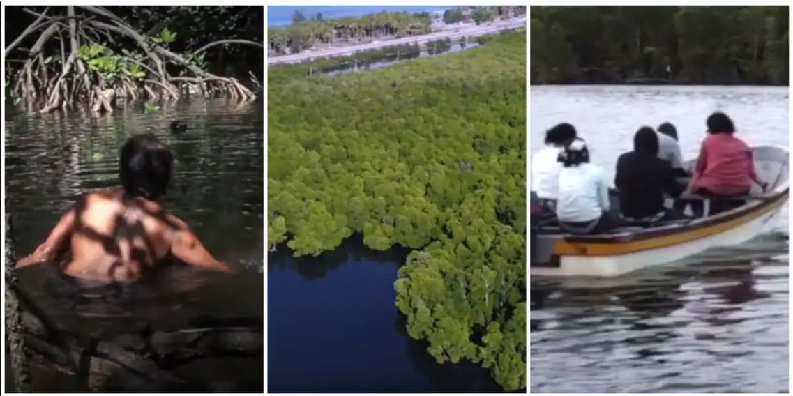 Los hombres no pueden ingresar en el bosque sagrado de mujeres desnudas en Papúa