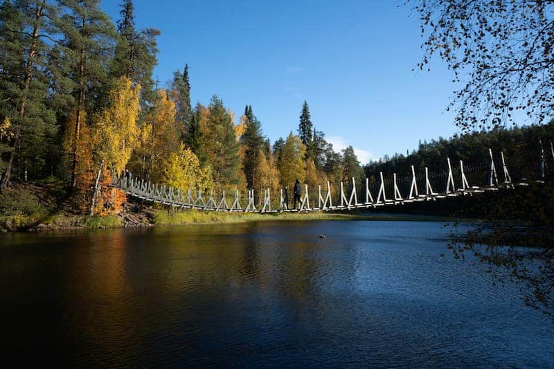 bosques-mas-bonitos-de-europa