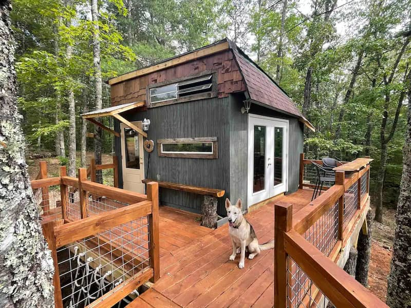 Casa del árbol para alquilar en Airbnb