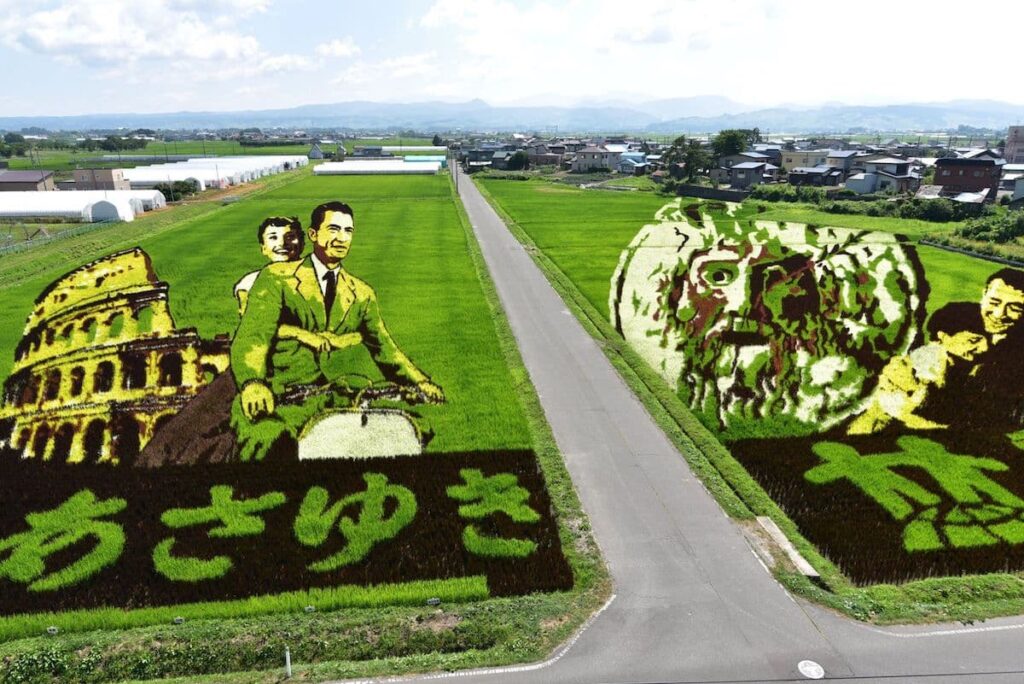 image campos ilustrados inakadate plantacion de arroz dibujos