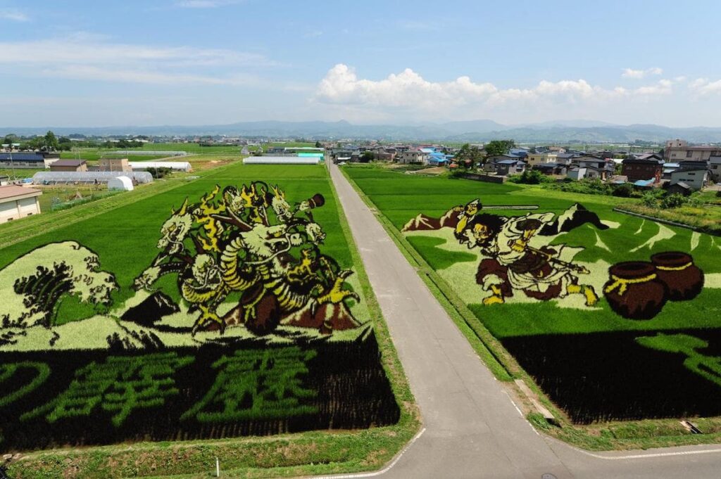 image campos ilustrados inakadate plantacion de arroz dibujos 3