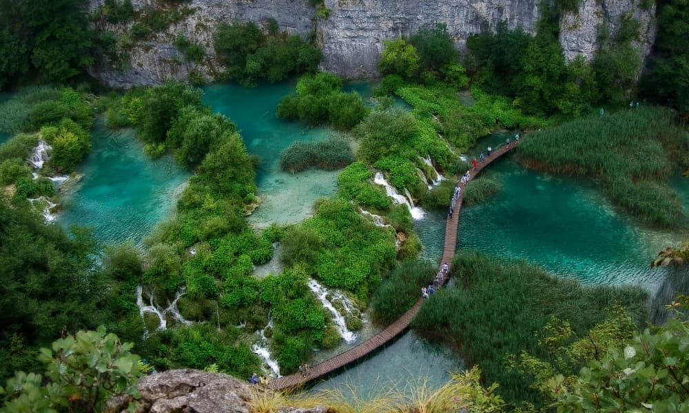 Los Bosques Más Bonitos de Europa