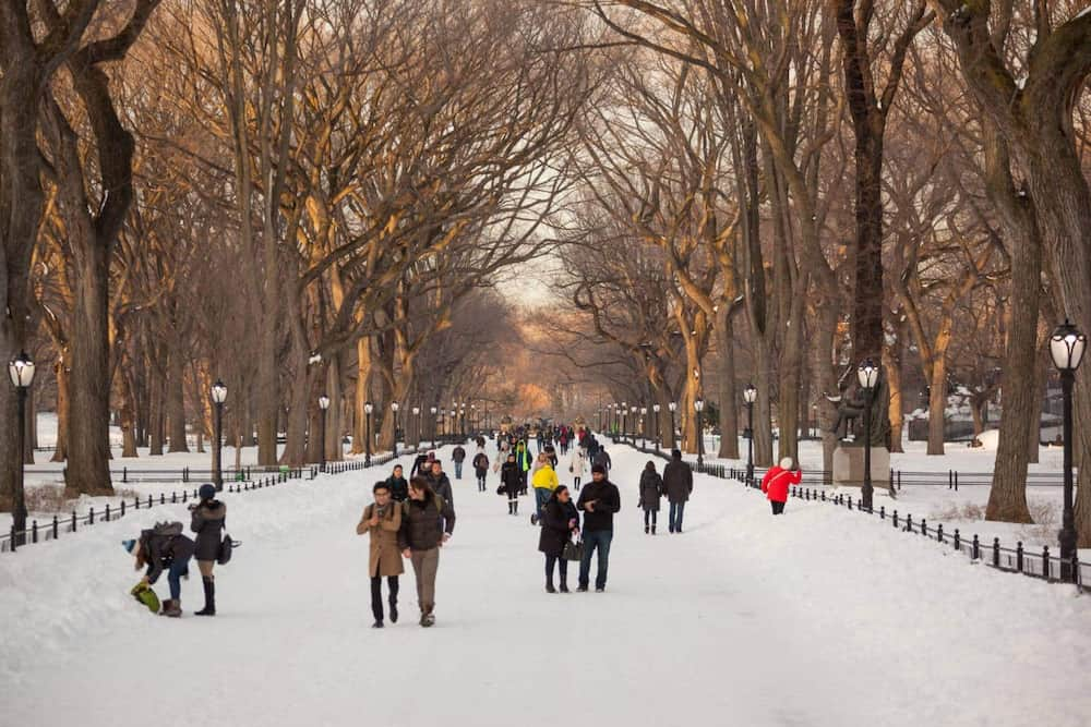 Nueva York en Enero / New York in January