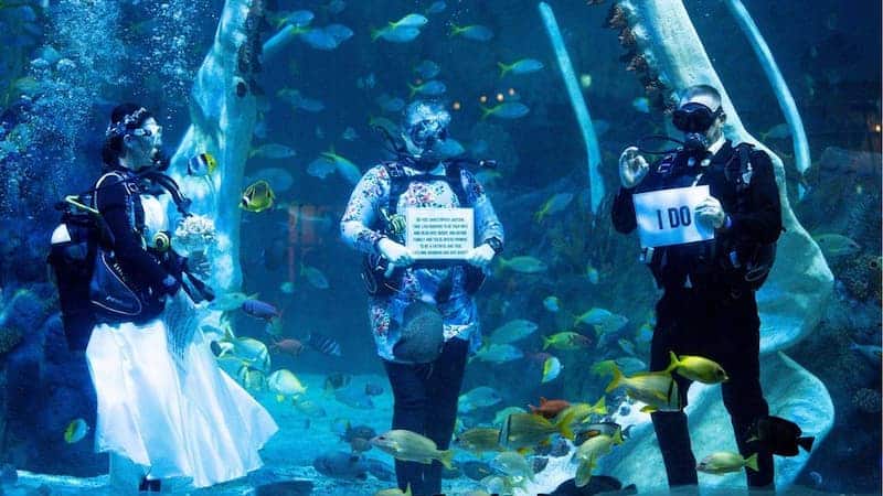 Pareja de buzos celebró su boda bajo el agua