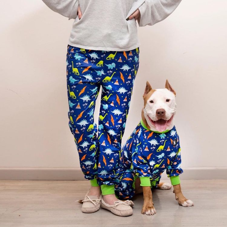 image estigma contra los pitbulls pijamas rompen estigmas contra los pitbulls 3