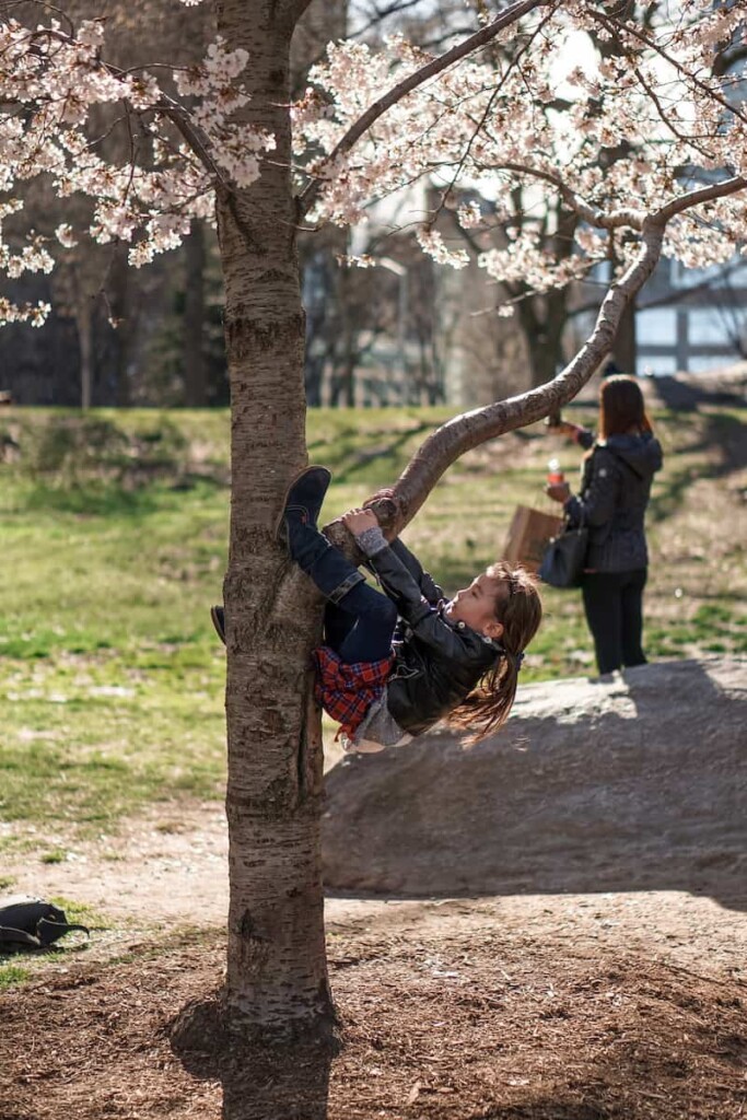 que-hacer-en-Nueva-York-con-niños