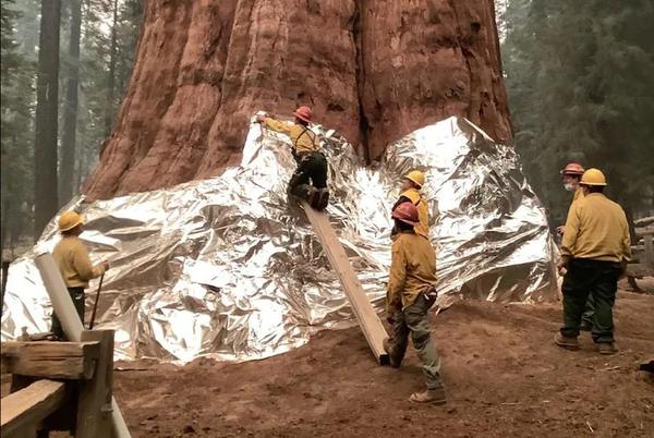 Sequoia and Kings Canyon National Parks