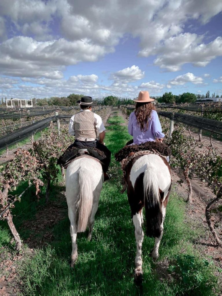 image Bodegas en Mendoza Flor de bodegas en mendoza 4