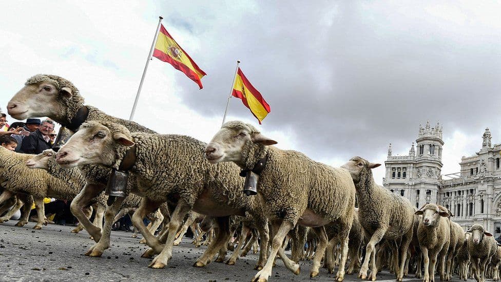 Miles de ovejas se apoderan de las calles de Madrid