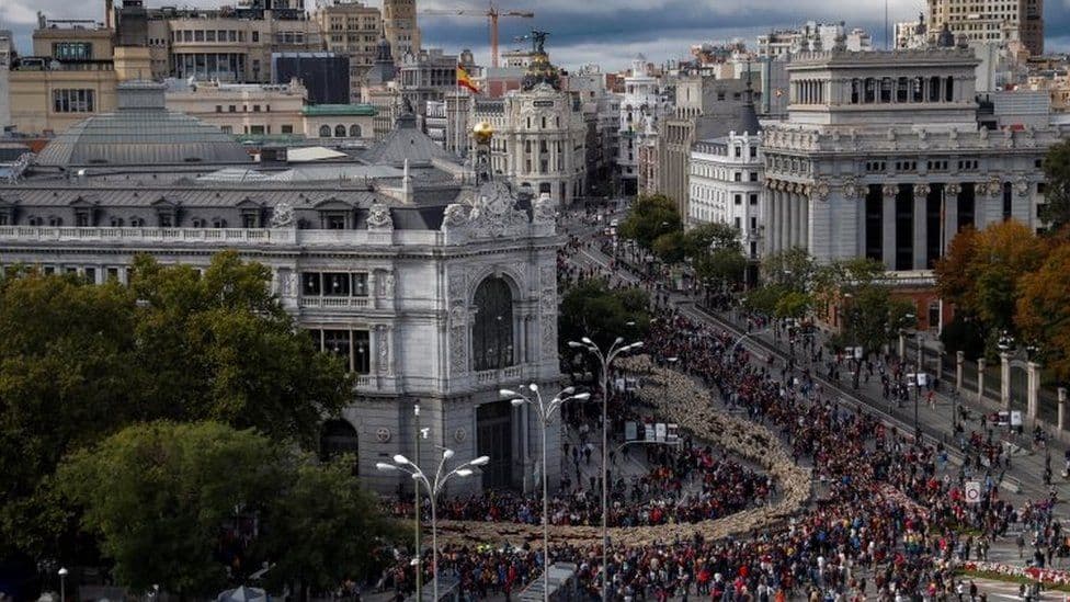 Miles de ovejas se apoderan de las calles de Madrid