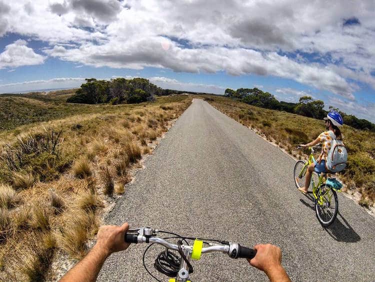 image Quokka selfie australia6