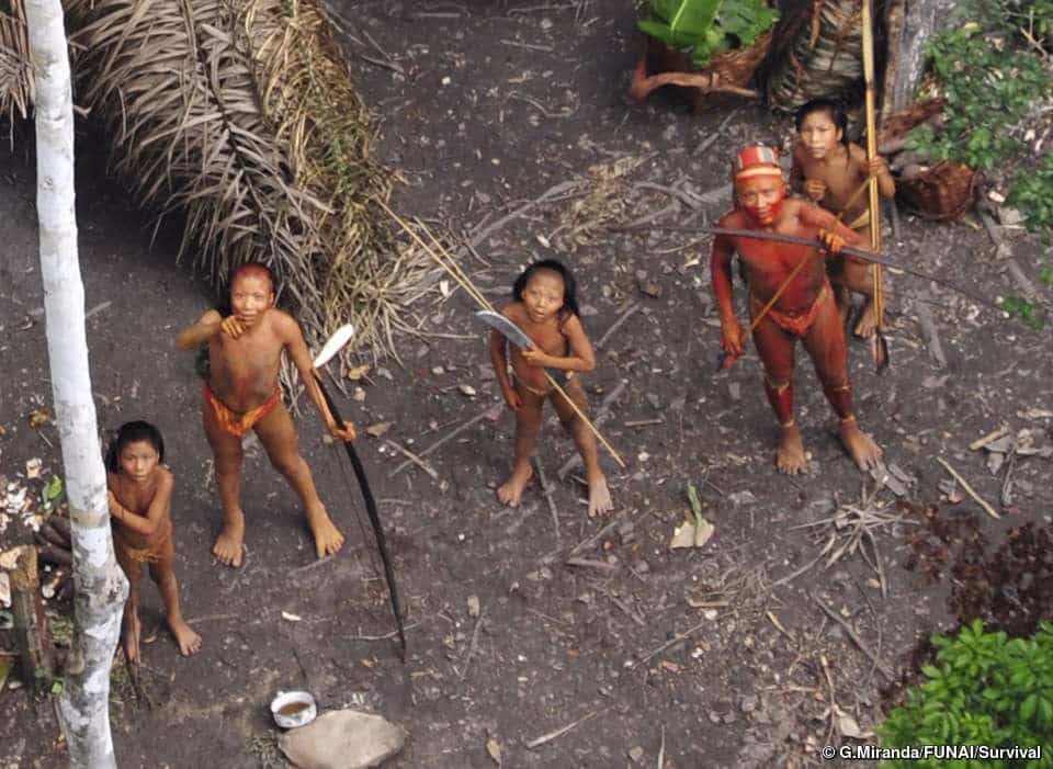 brasil grupo indigena