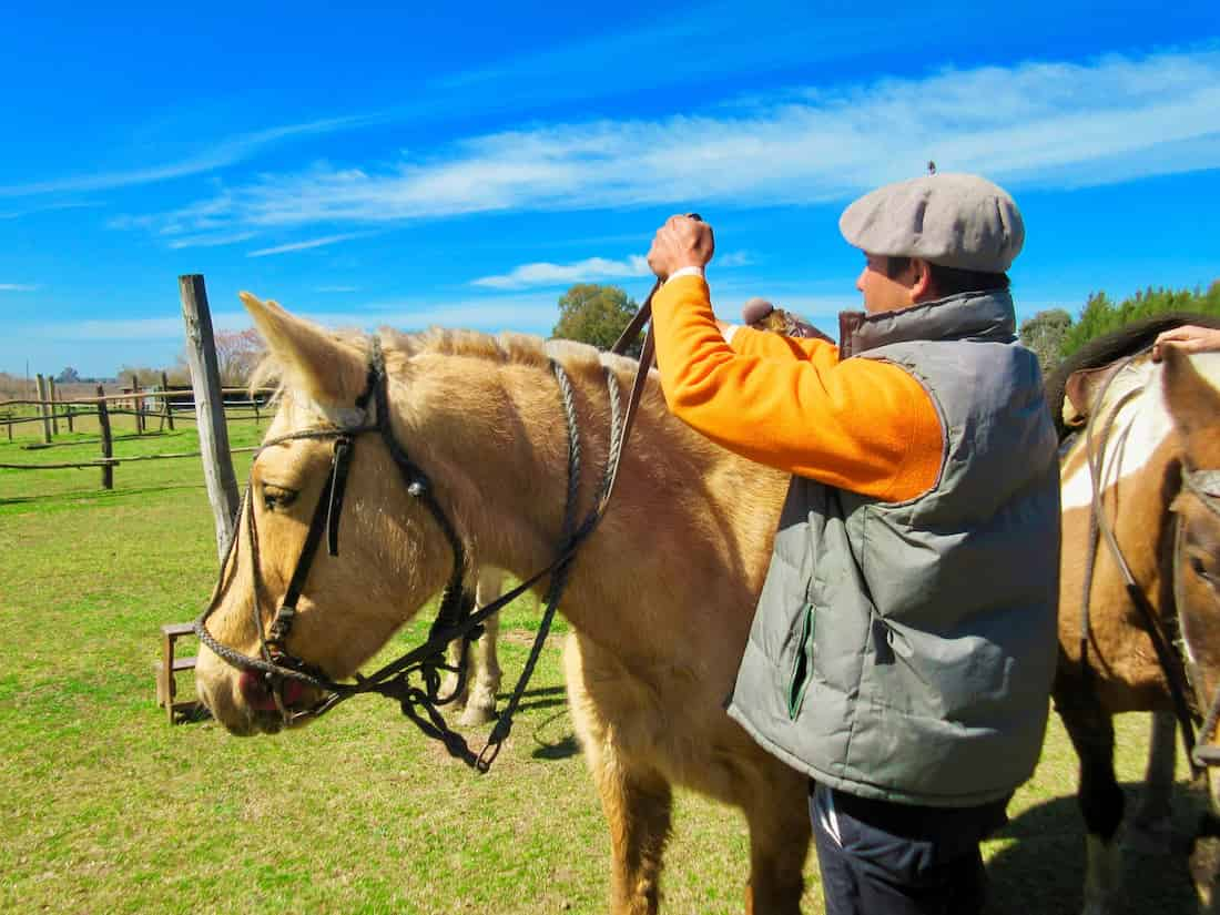 Día de Campo en Buenos Aires