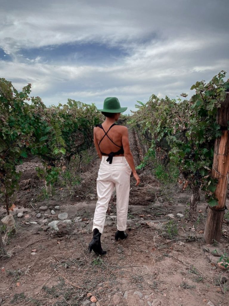 image Bodegas en Mendoza flor de bodegas en mendoza 6