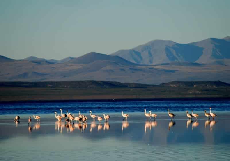 Mendoza: Proponen un viaje geológico por la ruta 40 a partir de huellas de dinosaurios, árboles petrificados y petróleo