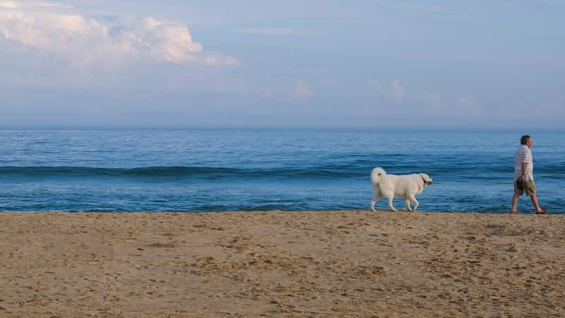 mejores-playas-de-Nueva-York