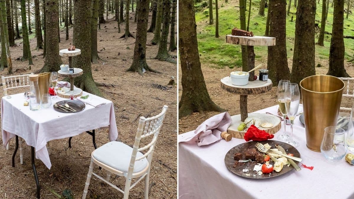 Una mesa con un 'té para dos' fue encontrado misteriosamente abandonado en el medio del bosque