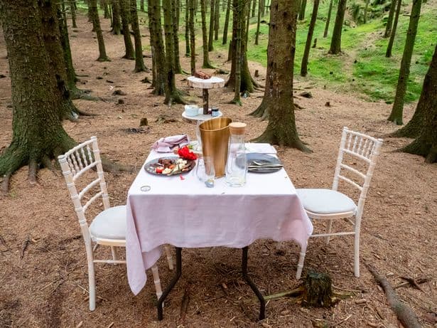 Una mesa con un 'té para dos' fue encontrado misteriosamente abandonado en el medio del bosque