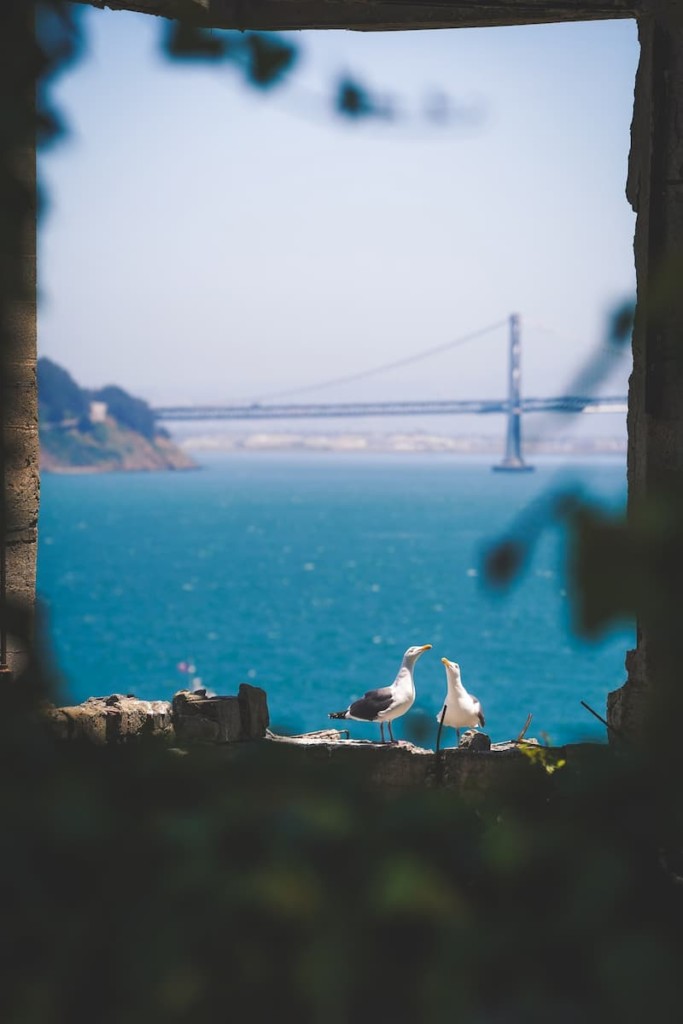 visitar-la-Carcel-de-Alcatraz