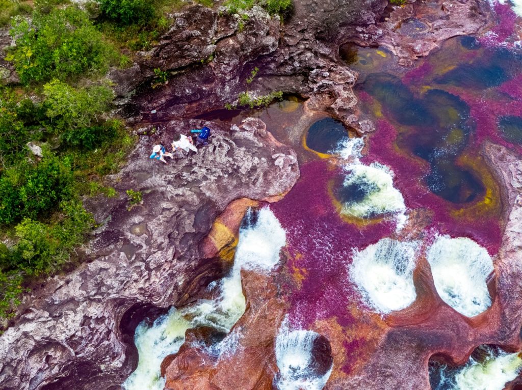 image Cano Cristales Colombia