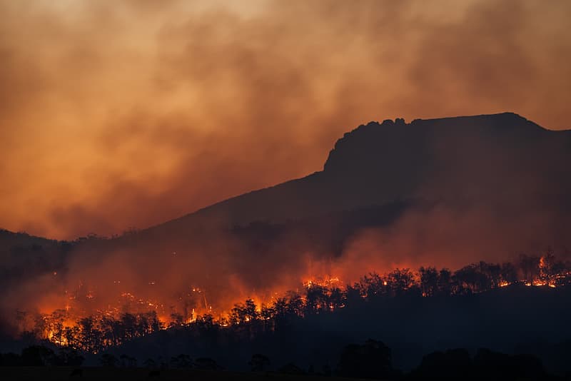 image cambio climático El cambio climatico y los efectos en el cafe