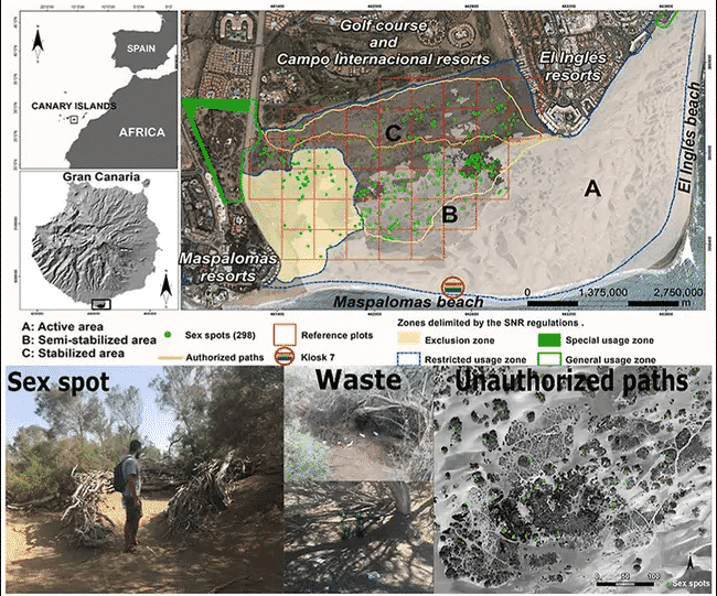Las personas que tienen relaciones sexuales en las dunas de arena de las Islas Canarias están causando daños al ecosistemas, según un estudio