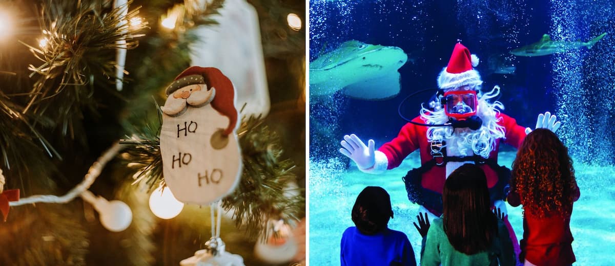 Este acuario de Kentucky, Estados Unidos, celebra navidad con un Santa que bucea