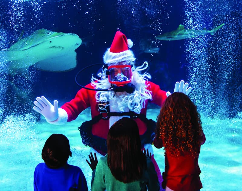 Scuba Santa, acuario de Kentucky