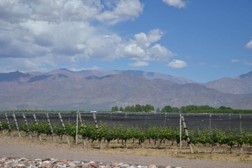 image visitar Zuccardi Valle de Uco Visitar Zuccardi Valle de Uco como es la mejor bodega del mundo por dentro 8