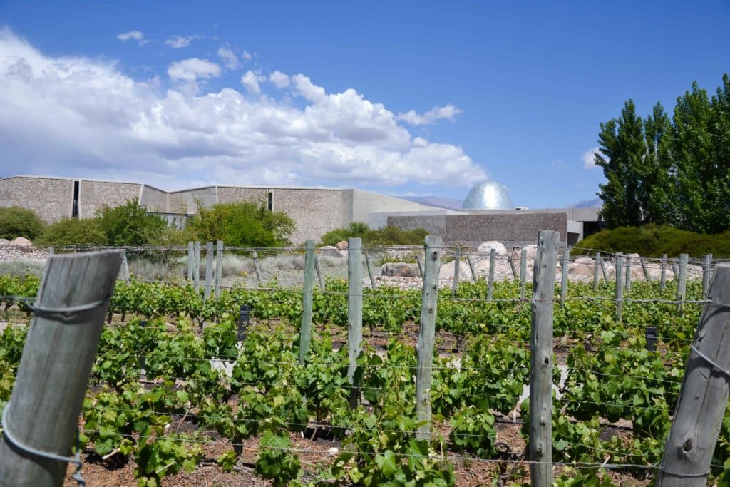 image visitar Zuccardi Valle de Uco Zuccardi Valle de Uco la mejor bodega y vinedo del mundo donde y como visitarla 5