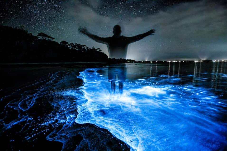 bioluminicencia