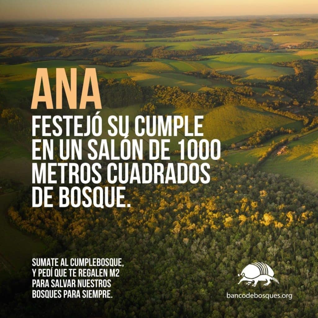 CumpleBosques, Una fundación argentina propone M2 de bosques en peligro como regalo de cumpleaños