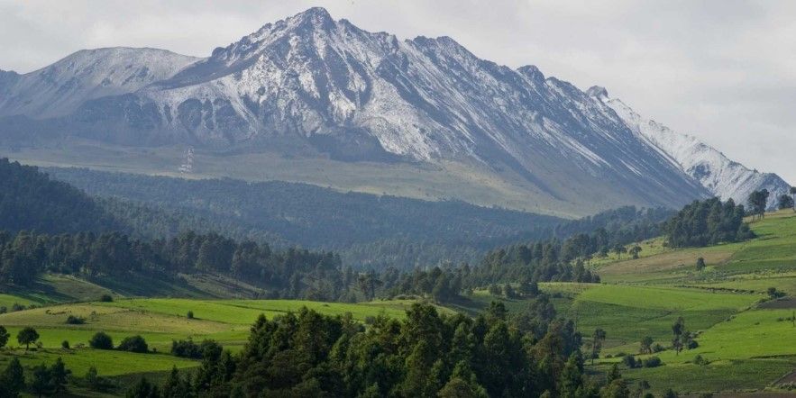 México: Compañía telefónica reforestará un árbol en el Nevado de Toluca por cada celular dañado o en desuso que reciba