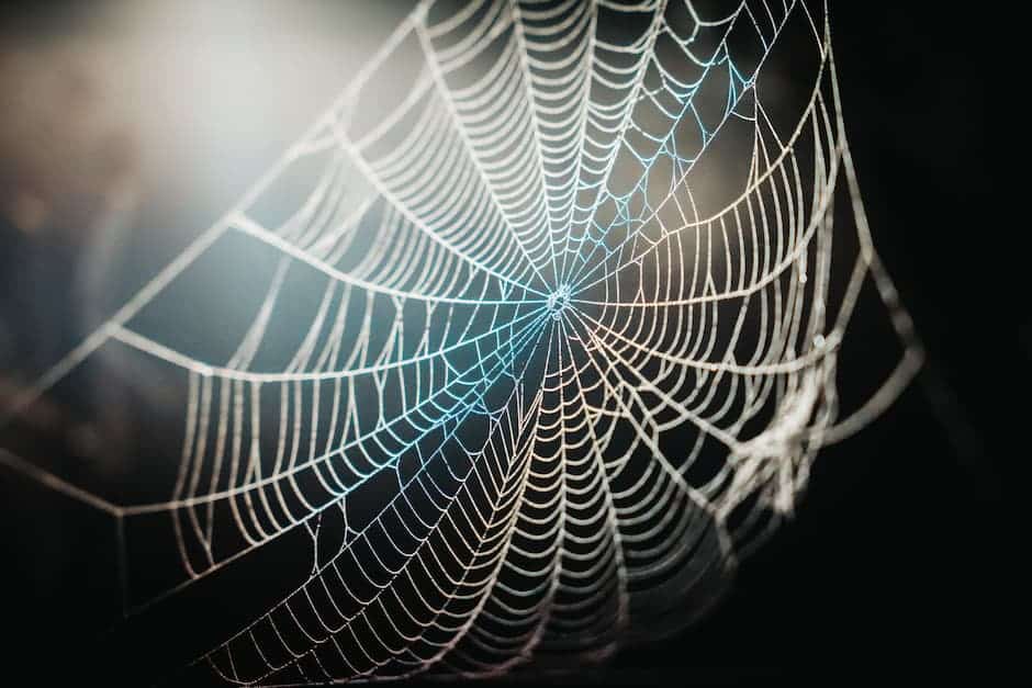 telaraña