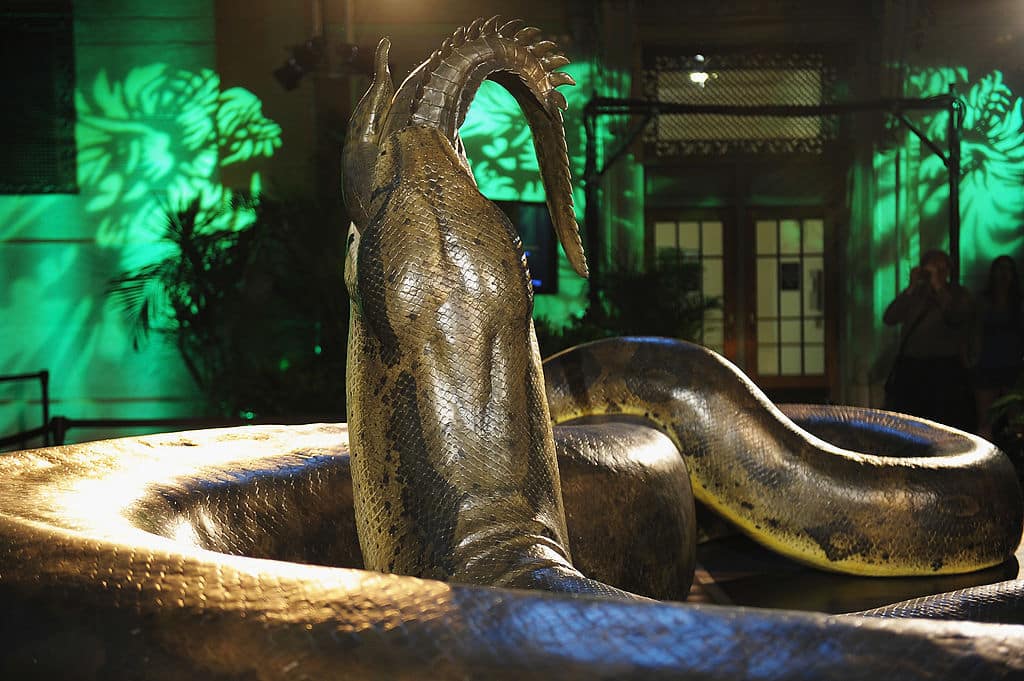 image titanoboa1